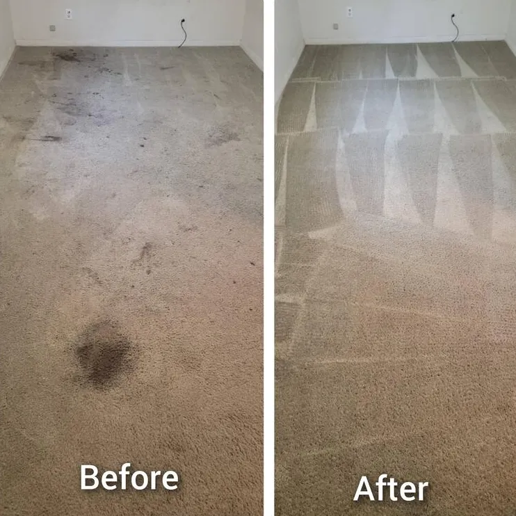 Carpet Cleaning and Treatment